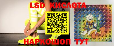 сатива Донской