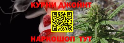 стаф Дубна